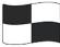 Black and white chequered flag